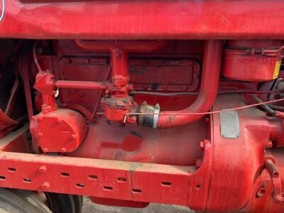 McCormack Farmall M Tractor - 9
