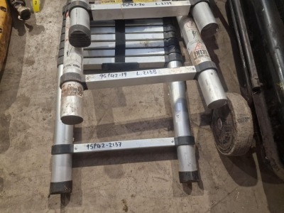 Telescopic Builders Brand Ladder