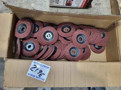 50x Flap Discs