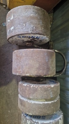 500kg Roller Weight