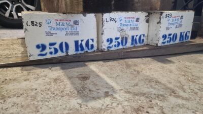 250kg Test Weight Block