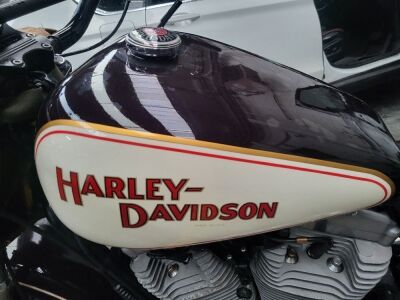 2006 Harley Davison Built by West Bay Customs - 6