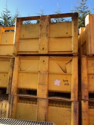 12 x Dolav Transport Boxes 