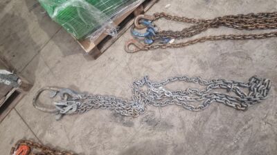 2 Leg Lifting Chain c/w Clutches