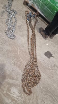 2 Leg Lifting Chain c/w Clutches