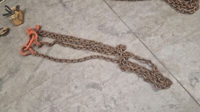 2 Leg Lifting Chain c/w Clutches