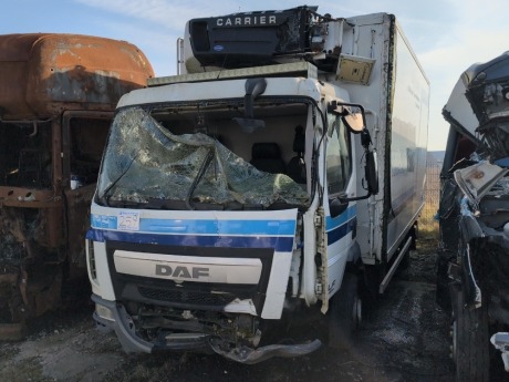 2018 DAF LF 180 Euro 6 4x2 Refrigerated Rigid