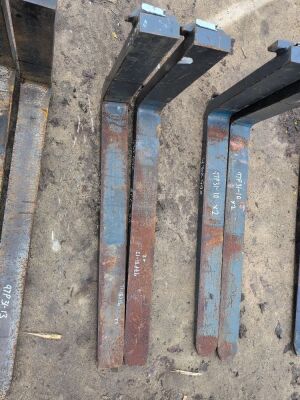 Pair off 1600x500 Fork Tines