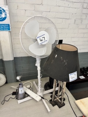 2x Lamps & 2x Fans