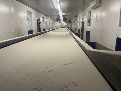 2012 MK Group 56m Long 9 Bay Picking Line c/w Welfare Cabins - 18
