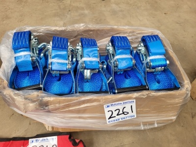 10x 5ton 8m Ratchet Straps
