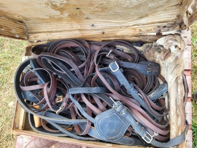 Quantity of Various Sized Horse Reins