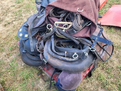 Quantity of Equestrian Items
