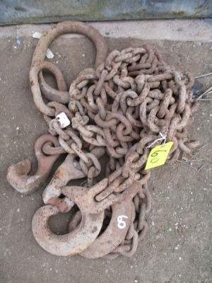 2 Leg Lifting Chain c/w Shorteners