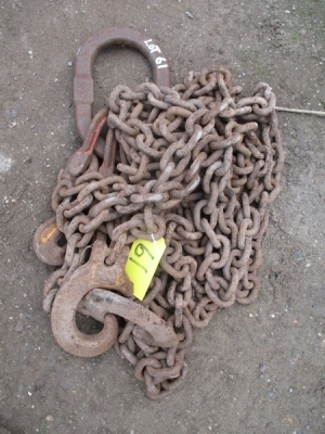 2 Leg Lifting Chain c/w Shorteners