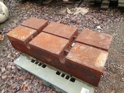 2 x Steel Weights