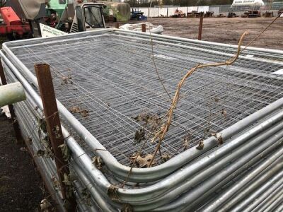 Qty of Temporary Fence Panels - 2