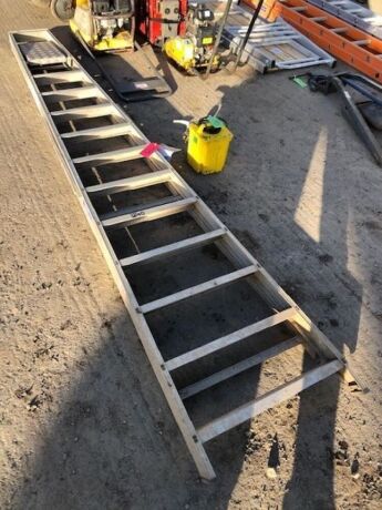 12 Rung Platform Ladder