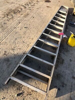 12 Rung Platform Ladder - 2