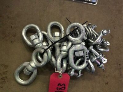 6 Large Swivels and O Shackles