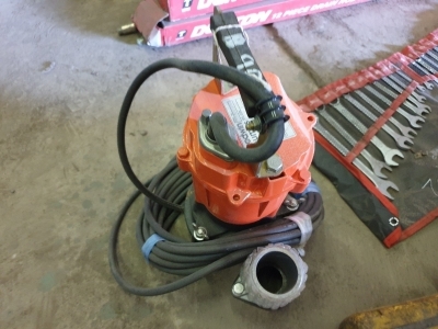 Unused Godwin 110V Pump