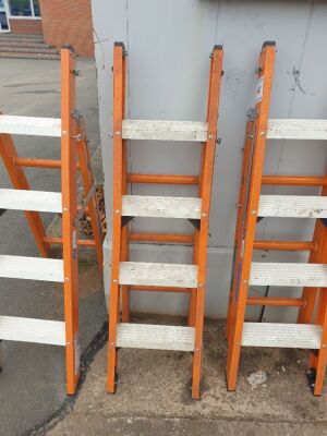 4ft Step Ladders